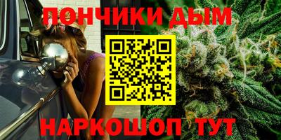 индика Мариинск