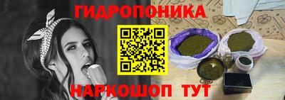 индика Мариинск