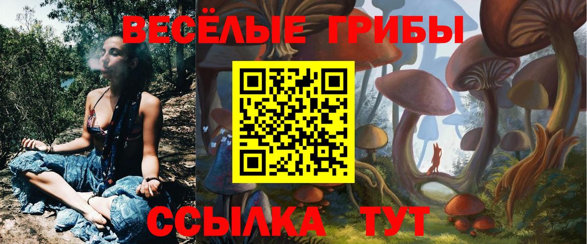 Псилоцибиновые грибы Cubensis Бор